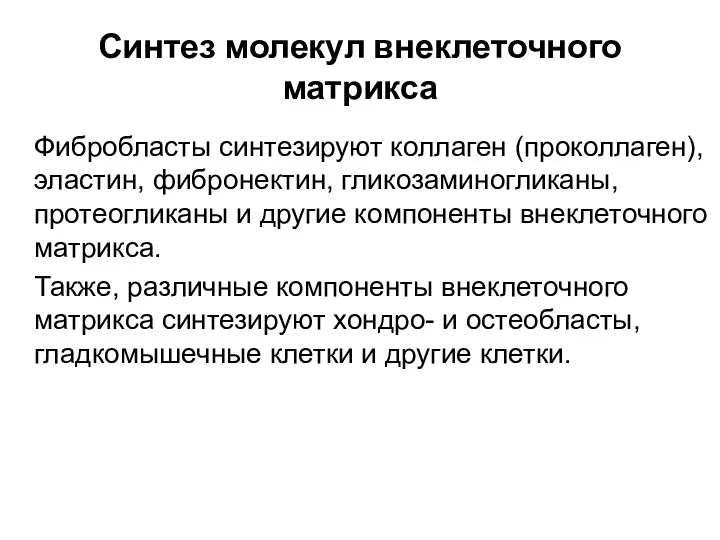 Синтез молекул внеклеточного матрикса Фибробласты синтезируют коллаген (проколлаген), эластин, фибронектин,