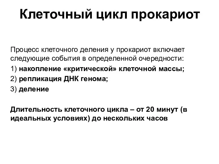 Клеточный цикл прокариот Процесс клеточного деления у прокариот включает следующие