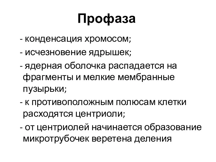 Профаза конденсация хромосом; исчезновение ядрышек; ядерная оболочка распадается на фрагменты