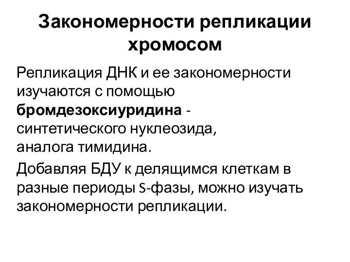 Закономерности репликации хромосом Репликация ДНК и ее закономерности изучаются с