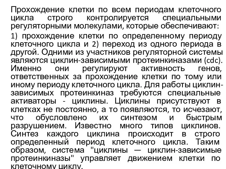 Прохождение клетки по всем периодам клеточного цикла строго контролируется специальными