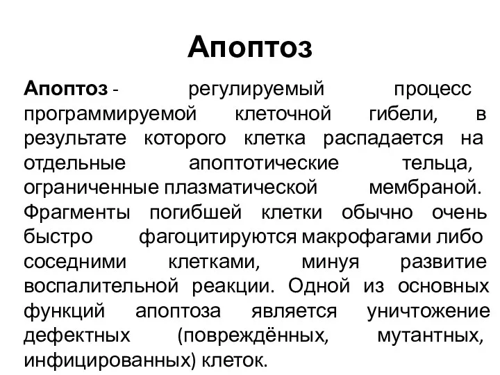 Апоптоз Апоптоз - регулируемый процесс программируемой клеточной гибели, в результате