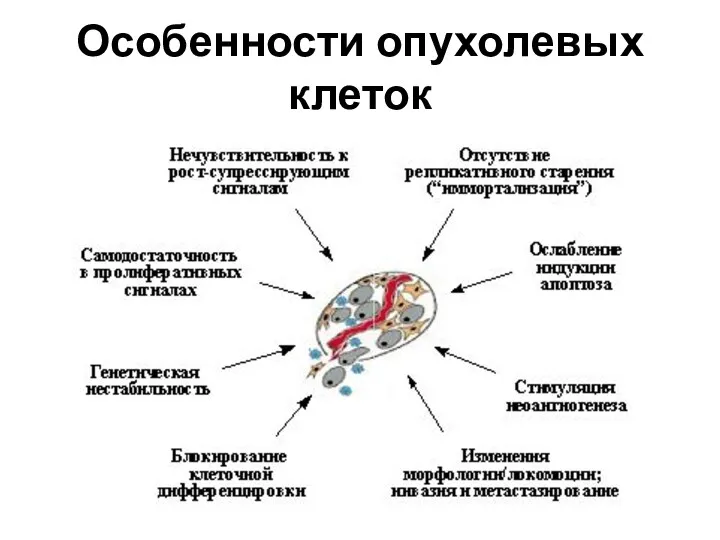 Особенности опухолевых клеток