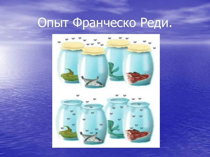 Опыт Франческо Реди.