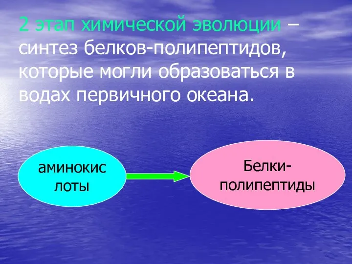 2 этап химической эволюции – синтез белков-полипептидов, которые могли образоваться в водах первичного океана. аминокислоты Белки-полипептиды