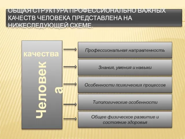 ОБЩАЯ СТРУКТУРА ПРОФЕССИОНАЛЬНО ВАЖНЫХ КАЧЕСТВ ЧЕЛОВЕКА ПРЕДСТАВЛЕНА НА НИЖЕСЛЕДУЮЩЕЙ СХЕМЕ.