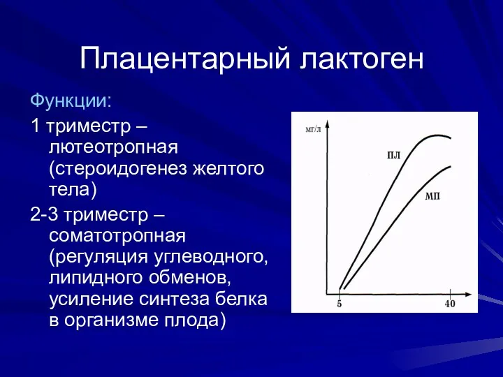 Плацентарный лактоген Функции: 1 триместр – лютеотропная (стероидогенез желтого тела)