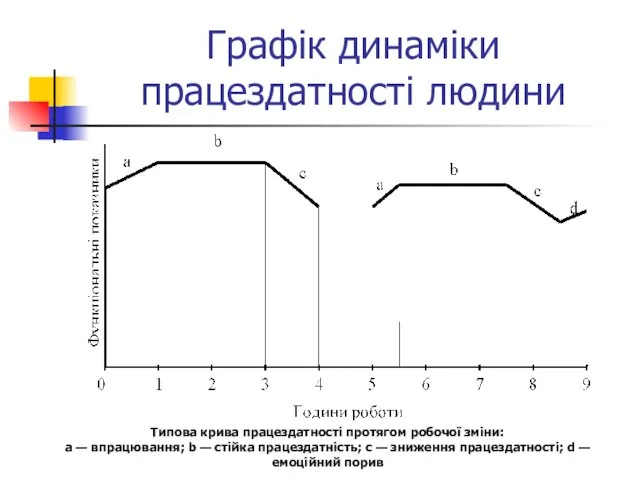 Графік динаміки працездатності людини Типова крива працездатності протягом робочої зміни: а — впрацювання;