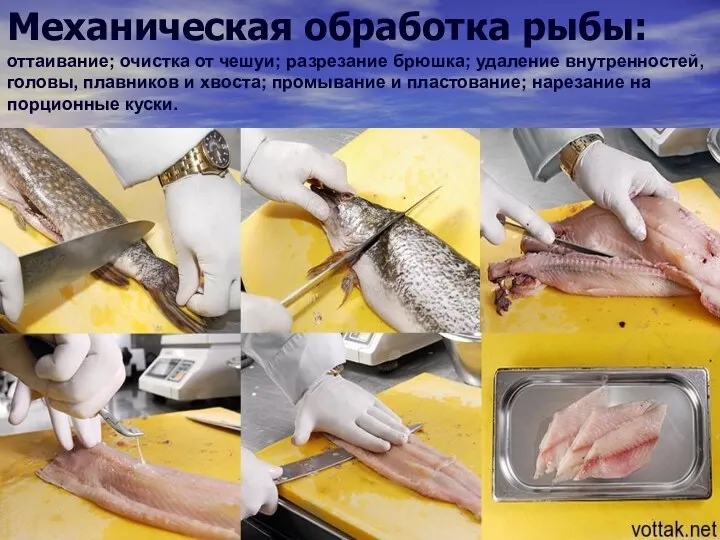 Механическая обработка рыбы: оттаивание; очистка от чешуи; разрезание брюшка; удаление