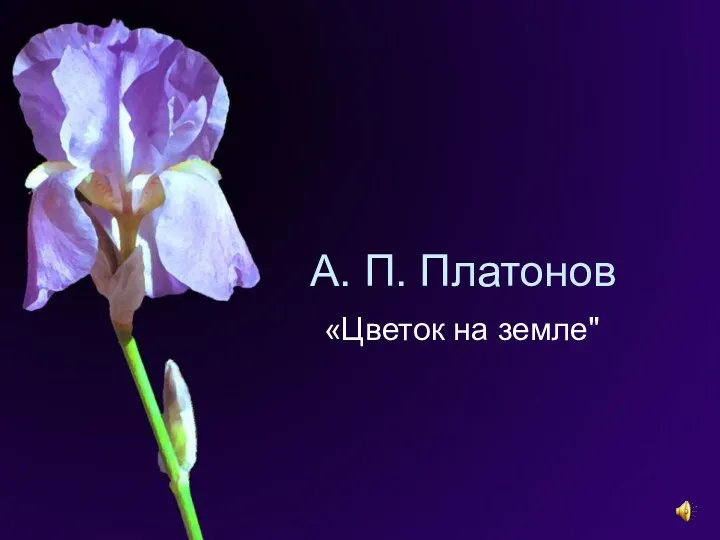 А. П. Платонов «Цветок на земле"