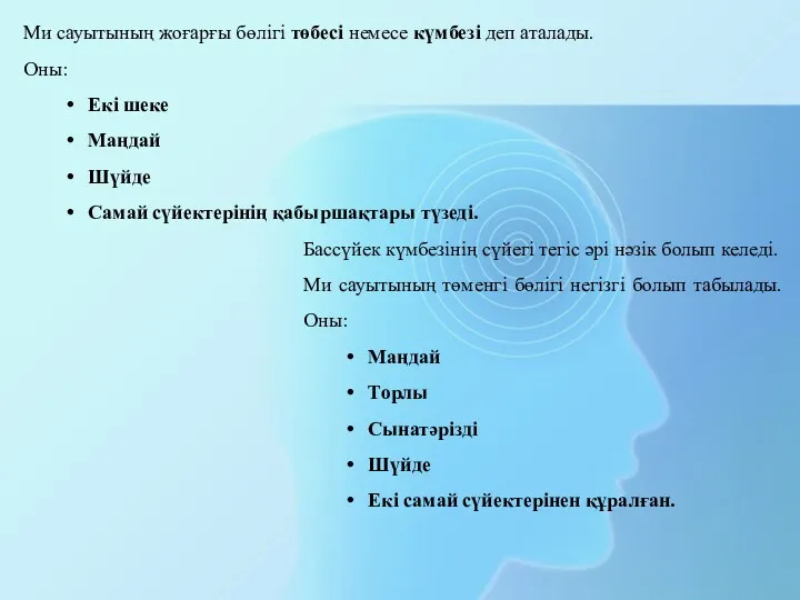 Ми сауытының жоғарғы бөлігі төбесі немесе күмбезі деп аталады. Оны: Екі шеке Маңдай