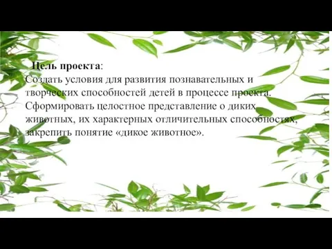 Цель проекта: Создать условия для развития познавательных и творческих способностей