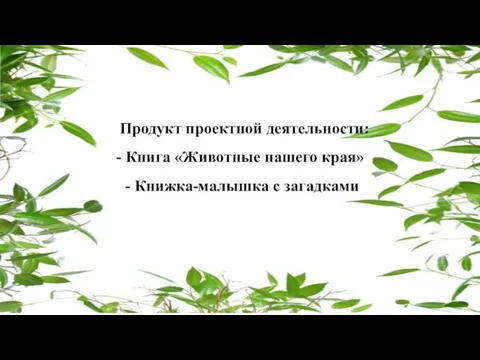 Продукт проектной деятельности: - Книга «Животные нашего края» - Книжка-малышка с загадками