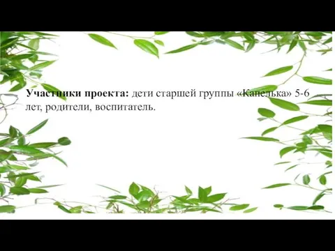 Участники проекта: дети старшей группы «Капелька» 5-6 лет, родители, воспитатель.