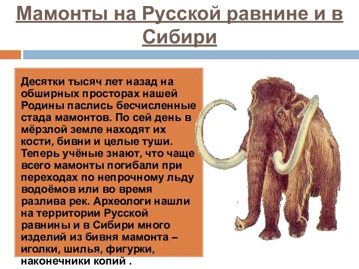 Мамонты на Русской равнине и в Сибири Десятки тысяч лет
