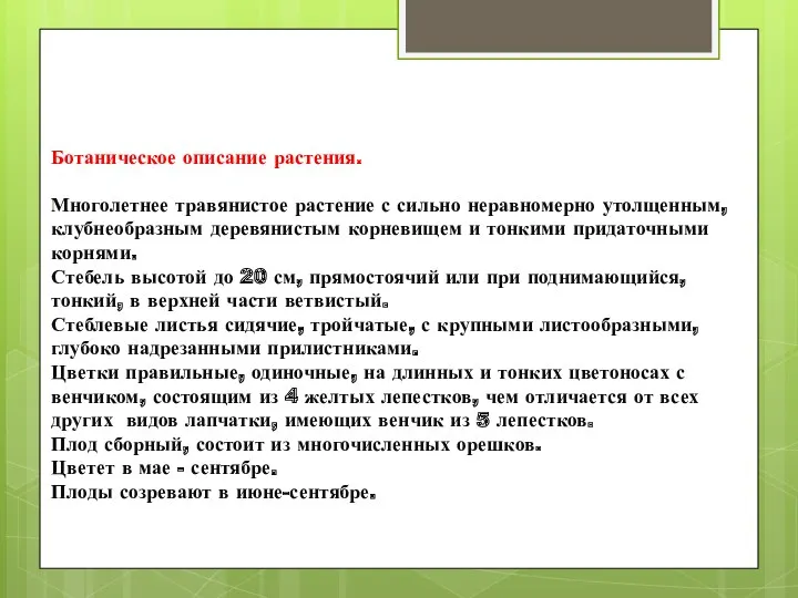 Ботаническое описание растения. Многолетнее травянистое растение с сильно неравномерно утолщенным,