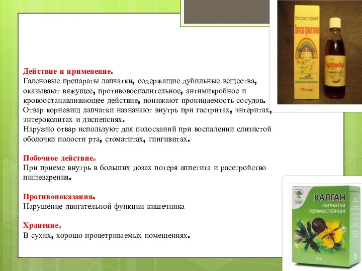 Действие и применение. Галеновые препараты лапчатки, содержащие дубильные вещества, оказывают