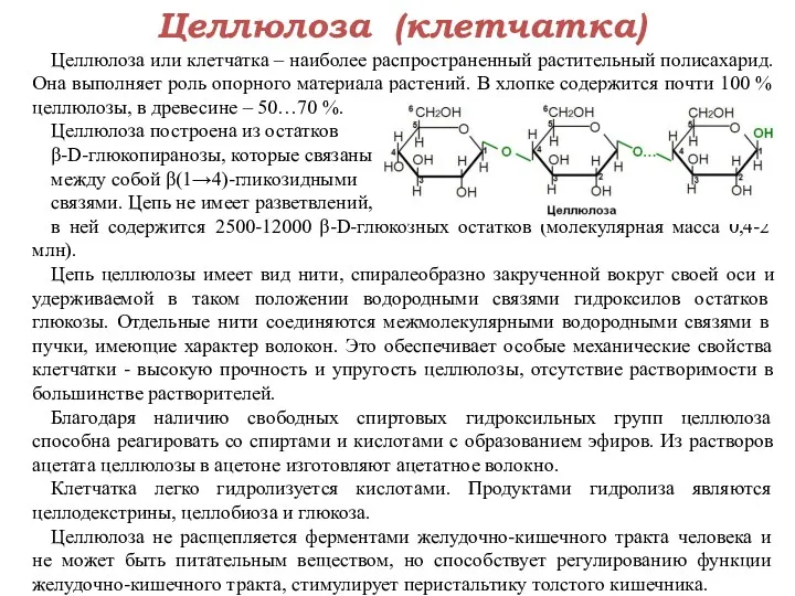 Целлюлоза (клетчатка) Целлюлоза или клетчатка – наиболее распространенный растительный полисахарид.