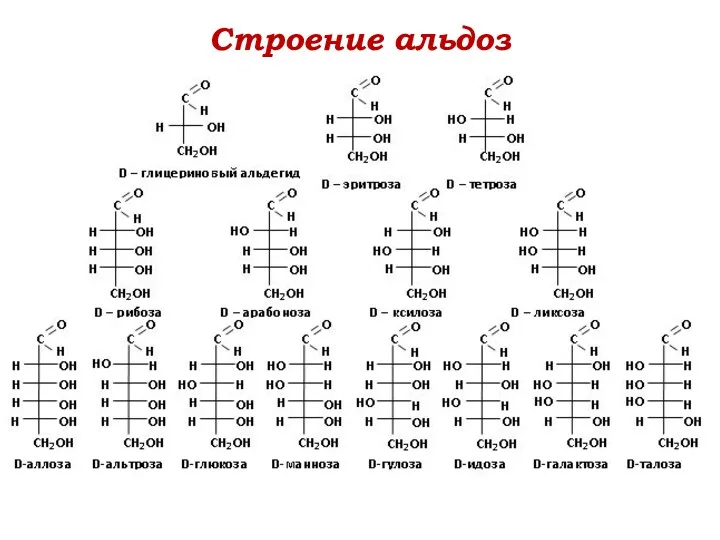 Строение альдоз