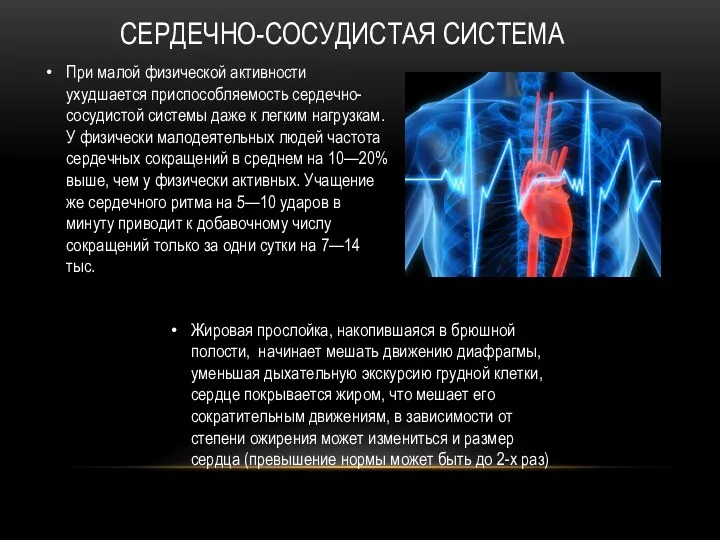 СЕРДЕЧНО-СОСУДИСТАЯ СИСТЕМА При малой физической активности ухудшается приспособляемость сердечно-сосудистой системы