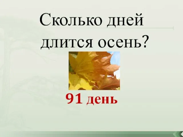 Сколько дней длится осень? 91 день