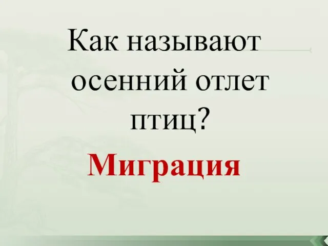 Как называют осенний отлет птиц? Миграция