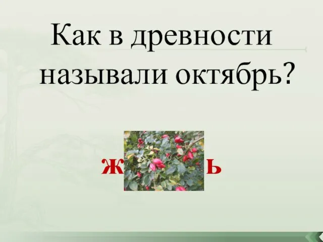 Как в древности называли октябрь? желтень