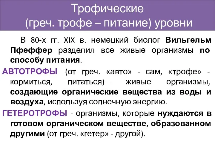 Трофические (греч. трофе – питание) уровни В 80-х гг. XIX