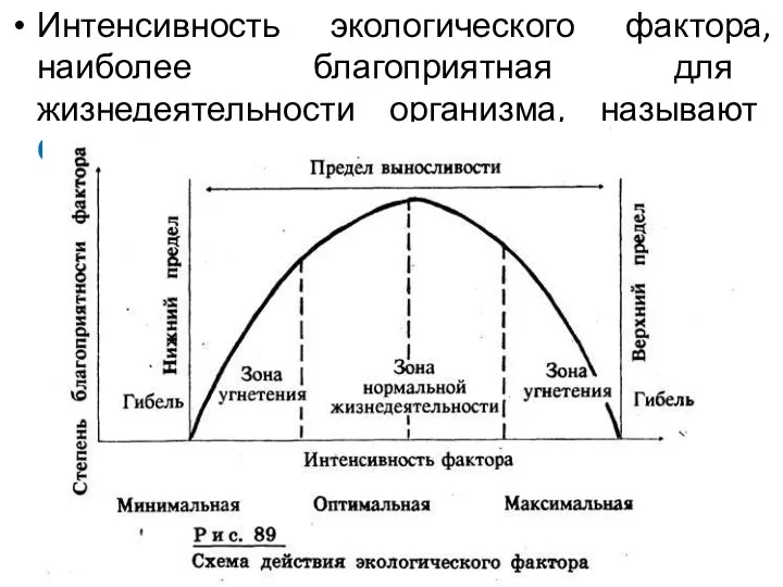 Интенсивность экологического фактора, наиболее благоприятная для жизнедеятельности организма, называют ОПТИМУМОМ.