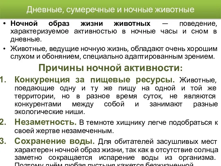 Дневные, сумеречные и ночные животные Ночной образ жизни животных —