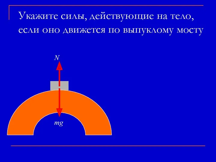 Укажите силы, действующие на тело, если оно движется по выпуклому мосту mg N