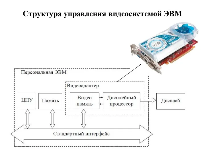 Структура управления видеосистемой ЭВМ