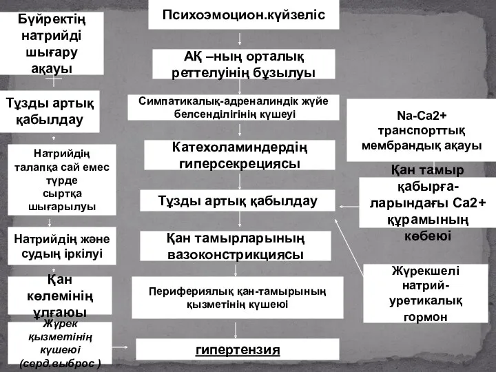 Психоэмоцион.күйзеліс АҚ –ның орталық реттелуінің бұзылуы Симпатикалық-адреналиндік жүйе белсенділігінің күшеуі Катехоламиндердің гиперсекрециясы Тұзды