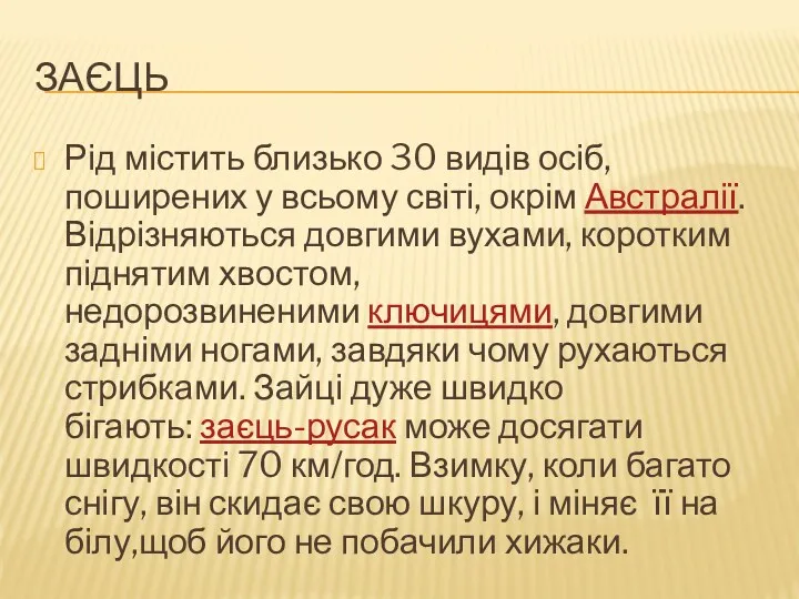 ЗАЄЦЬ Рід містить близько 30 видів осіб, поширених у всьому