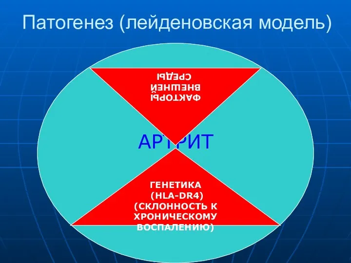 Патогенез (лейденовская модель) АРТРИТ ГЕНЕТИКА (HLA-DR4) (СКЛОННОСТЬ К ХРОНИЧЕСКОМУ ВОСПАЛЕНИЮ) ФАКТОРЫ ВНЕШНЕЙ СРЕДЫ