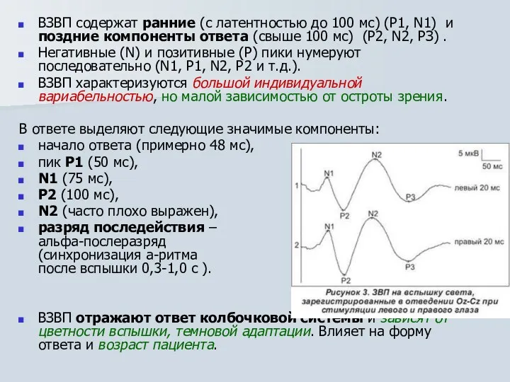 ВЗВП содержат ранние (с латентностью до 100 мс) (Р1, N1)