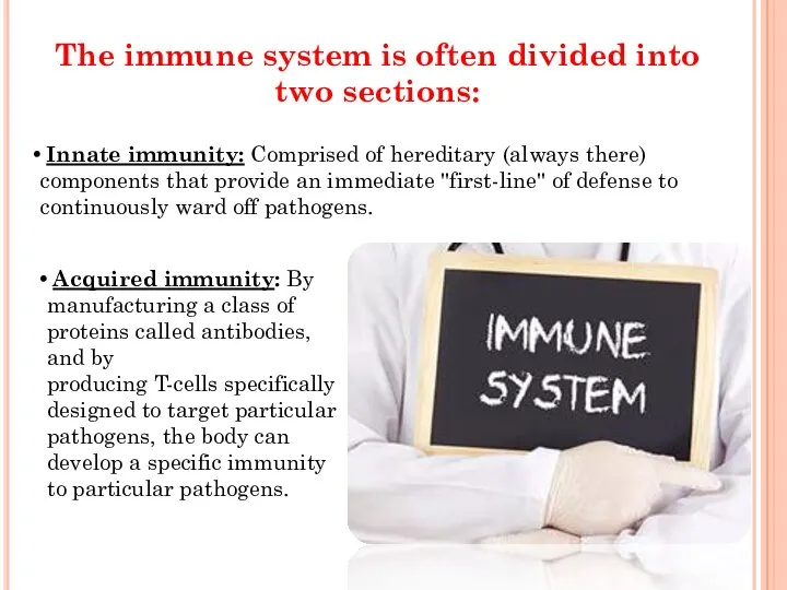 The immune system is often divided into two sections: Innate immunity: Comprised of