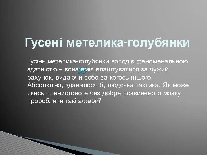 Гусені метелика-голубянки Гусінь метелика-голубянки володіє феноменальною здатністю – вона вміє