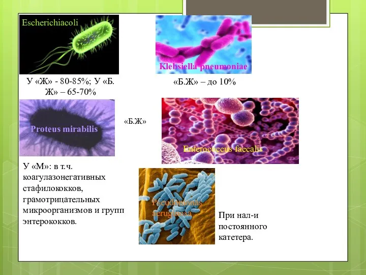 У «Ж» - 80-85%; У «Б.Ж» – 65-70% «Б.Ж» –