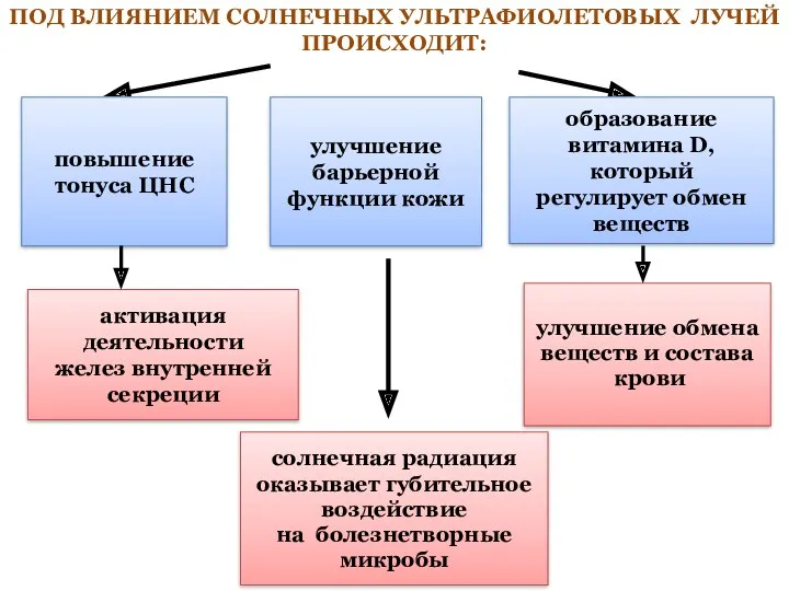 повышение тонуса ЦНС улучшение барьерной функции кожи образование витамина D, который регулирует обмен