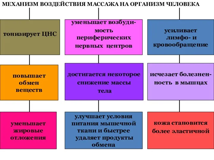 МЕХАНИЗМ ВОЗДЕЙСТВИЯ МАССАЖА НА ОРГАНИЗМ ЧЕЛОВЕКА тонизирует ЦНС уменьшает возбуди- мость периферических нервных