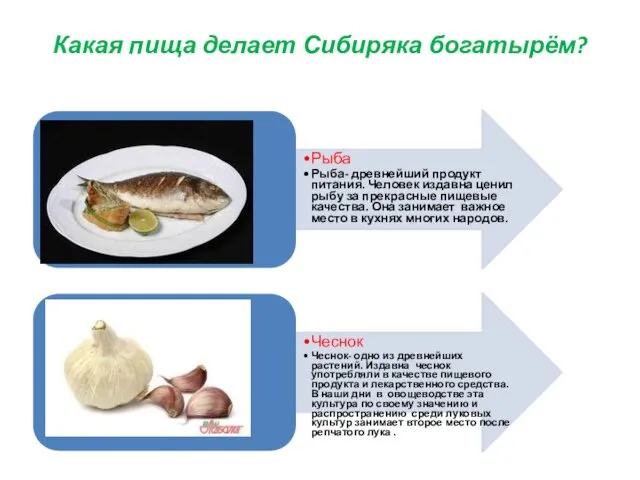 Какая пища делает Сибиряка богатырём? Рыба Рыба- древнейший продукт питания.