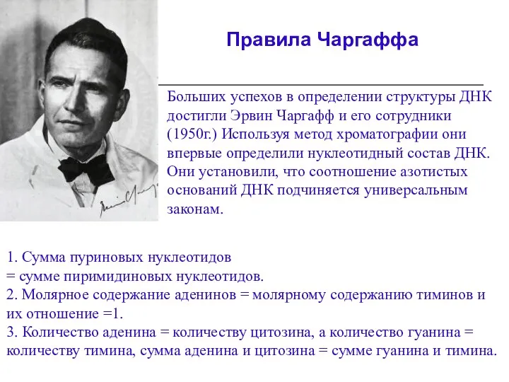 Больших успехов в определении структуры ДНК достигли Эрвин Чаргафф и