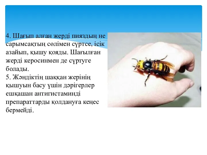 4. Шағып алған жерді пияздың не сарымсақтың сөлімен сүртсе, ісік азайып, қышу қояды.