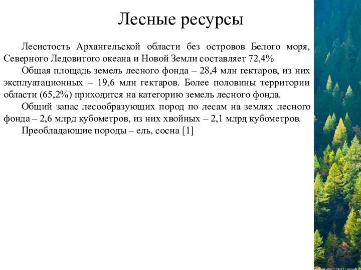 Лесные ресурсы Лесистость Архангельской области без островов Белого моря, Северного