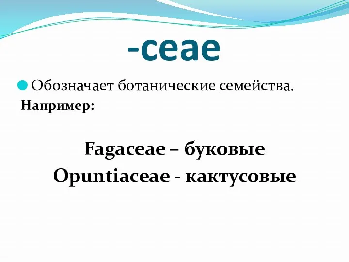 -ceae Обозначает ботанические семейства. Например: Fagaceae – буковые Opuntiaceae - кактусовые