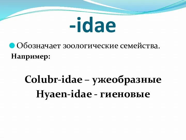-idae Обозначает зоологические семейства. Например: Colubr-idae – ужеобразные Hyaen-idae - гиеновые