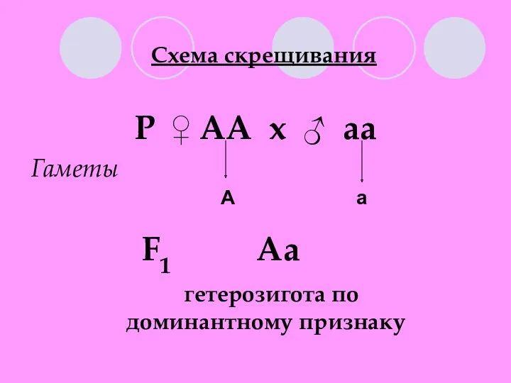 Схема скрещивания Р ♀ АА х ♂ аа Гаметы А