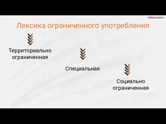 Лексика ограниченного употребления Территориально ограниченная Специальная Социально ограниченная