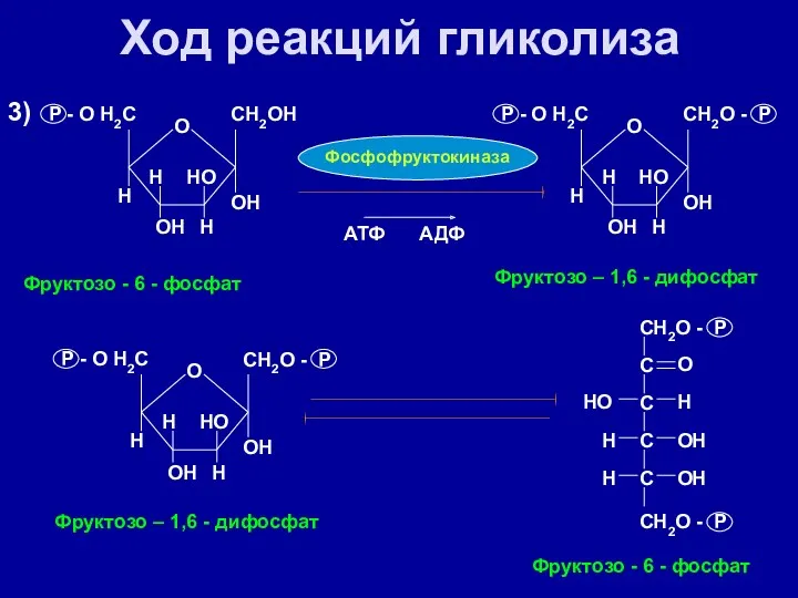 Ход реакций гликолиза 3) O H H P - O